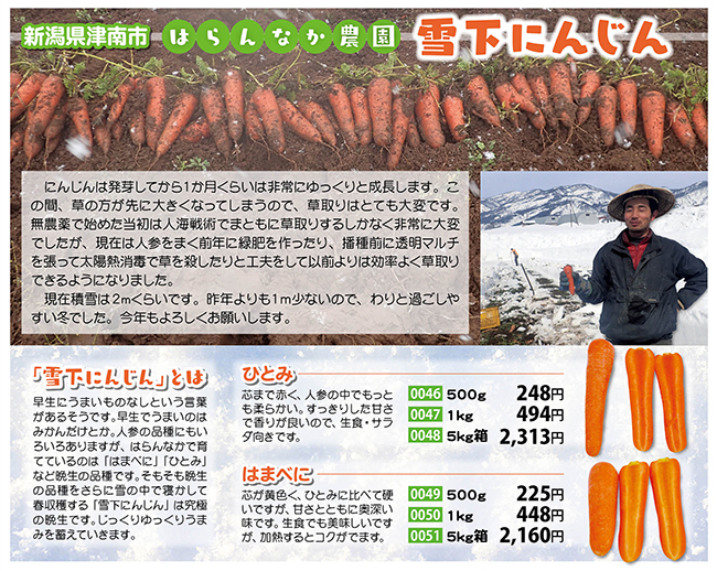 新潟県津南市 はらんなか農園 雪下にんじん