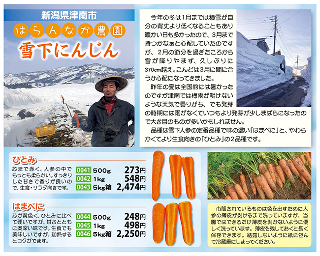 はらんなか農園の雪下にんじん